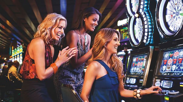 559bet app