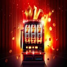 559bet app