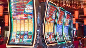 559bet app